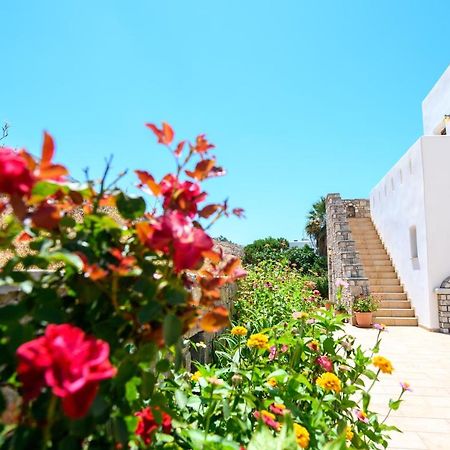 Villa Andromeda Amorgos Dış mekan fotoğraf